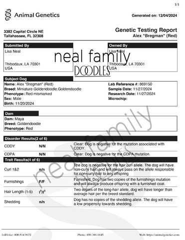 Bregman Coat Testing Results