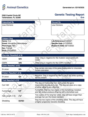 Animal Genetics Report