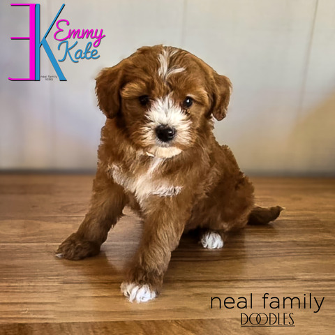 Emmy Kate - 6½ weeks